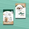 کارت ویزیت پاکسازی پوست طرح 04